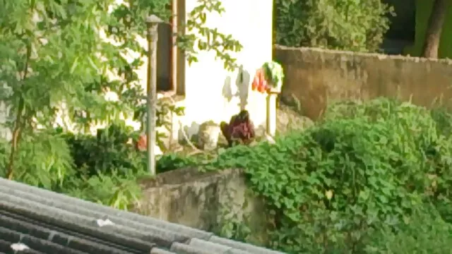 সুন্দরী বালিকা পায়ু ধাক্কা মারা শ্যামাঙ্গিণী ভালো সেক্সি গান অসাধারন