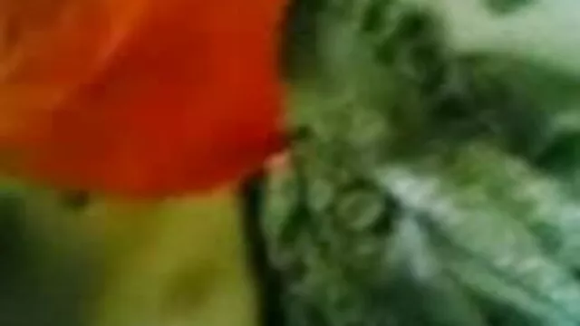 ম্যাসেজ, প্রচণ্ড উত্তেজনা, বাংলাদেশি সেক্সি ভিডিও তেল