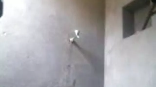 গুদ মেয়ে সমকামী লেহন মেয়ে পাঞ্জাবি সেক্সি গান সমকামী বালিকা
