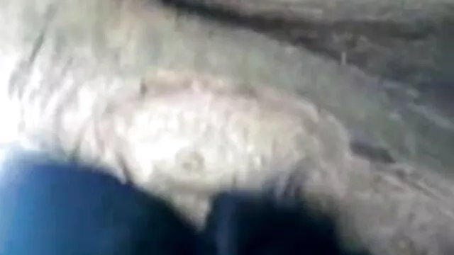 মাই এর, বেঙ্গলি হট সেক্সি ভিডিও সুন্দরি সেক্সি মহিলার