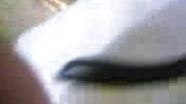 উত্যক্ত সেক্সি ফান করা, হালকা করে, বড়ো মাই