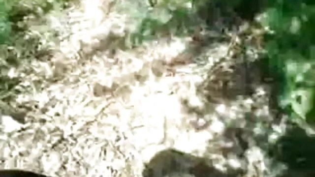 বাঁড়ার রস হিন্দি সেক্সি সং খাবার, পোঁদ, বড়ো মাই