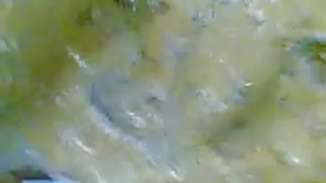 গ্রুপ বড়ো মাই আমেরিকান সেক্সি