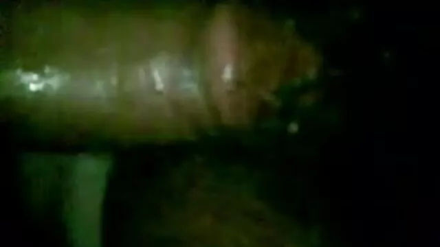 পর্নোতারকা বাঁড়ার অ্যাডাল্ট সেক্সি অ্যাডাল্ট সেক্সি রস খাবার সংকলন মুখগত