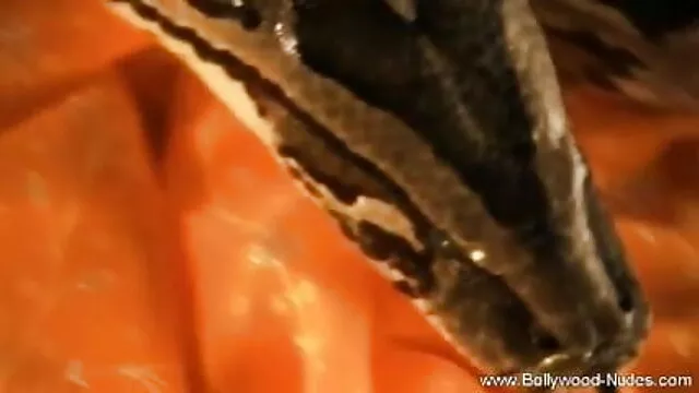 সেক্সি পোশাক, ফালি, লাতিনা, মাই এর, সেক্সি স্টরি