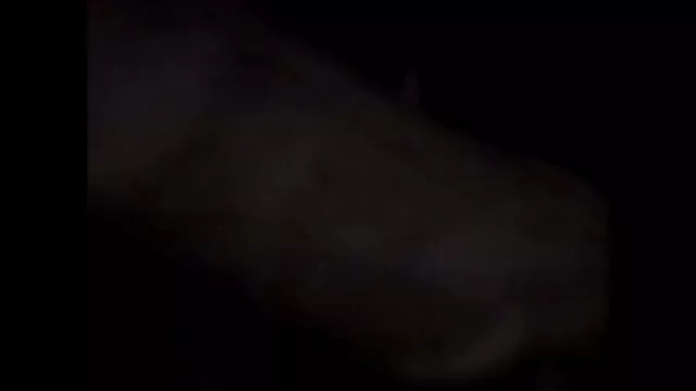 স্বামী ও স্ত্রী, সেক্সি ভিডিও সেক্সি সেক্সি