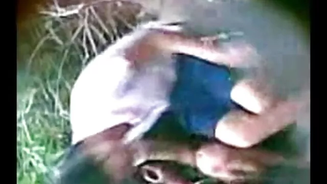 পর্নোতারকা, সেক্সি সংস মেয়ে সমকামী