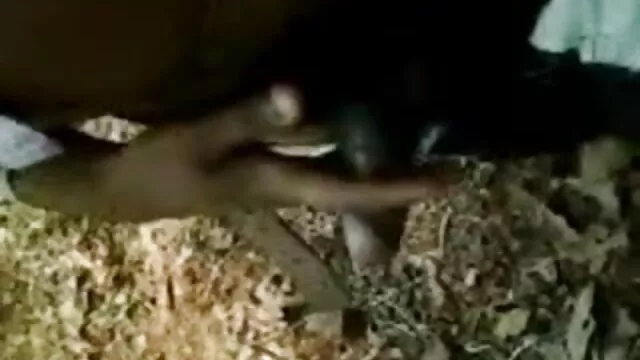 লাল চুলের, সেক্সিমেয়ে স্বামী ও স্ত্রী,