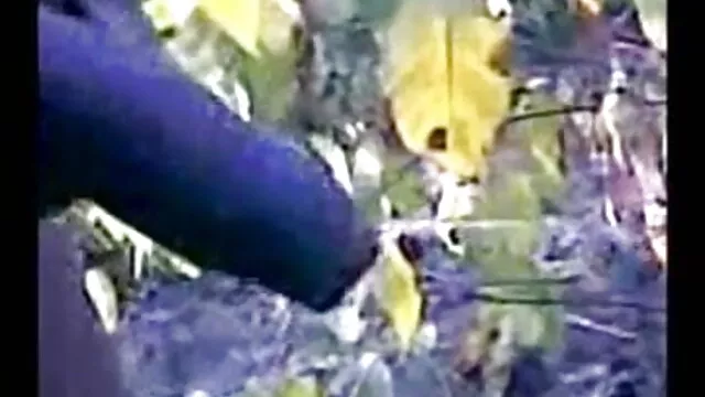পোঁদ, এশিয়ান, মেয়ে সমকামী, পায়ু সেক্সি ভিডিও ডাউনলোড করুন