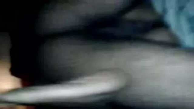 অপেশাদার, বাংলা ছবির সেক্সি গান স্বামী ও স্ত্রী,