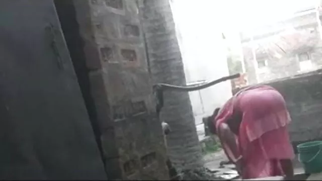 বড়ো আমেরিকান সেক্সি বুকের মেয়ের
