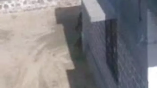 মাই এর, ছোট সেক্সি video মাই