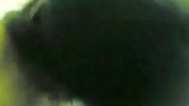 মাই সেক্সি সেক্সি সেক্স এর, গুদ, মেয়ে সমকামী, খাওয়ারত