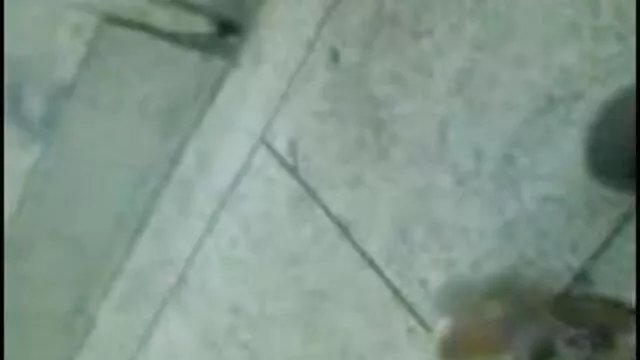 ব্লজব স্বামী সেক্সি সিরিয়াল ও স্ত্রী