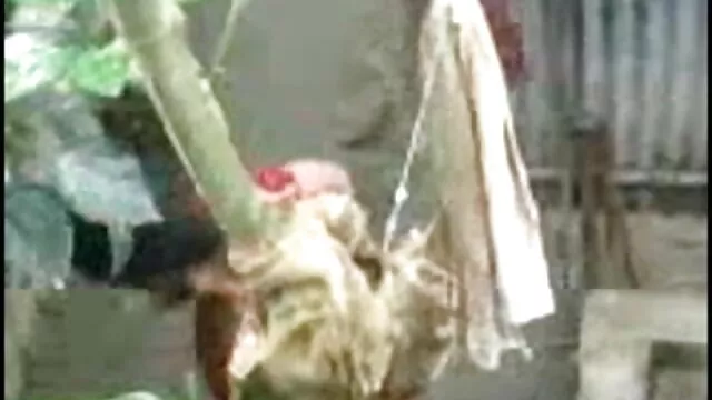 নাইলন, শ্যামাঙ্গিণী, ব্লজব মেয়েদের সেক্সি ছবি