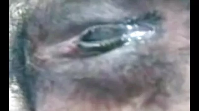 ব্লজব বড় সুন্দরী সেক্সে গল্প মহিলা হার্ডকোর