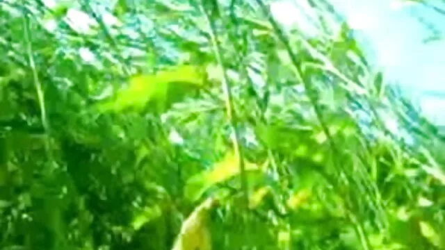 পুরুষ সমকামী, শিশ্ন, কালো পুরুষাঙ্গ, পুরুষাঙ্গ লেহন, নানা নায়িকা সেক্সি ভিডিও জাতির মধ্যে
