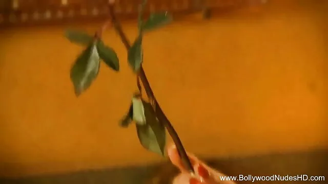 অফিস সাক্ষাৎকারের পোঁদ বাঁড়ার রস খাবার সেক্সি ছায়াছবি