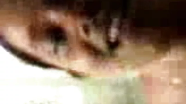 ছোট মাই, সেক্সি ছায়াছবি মাই এর,