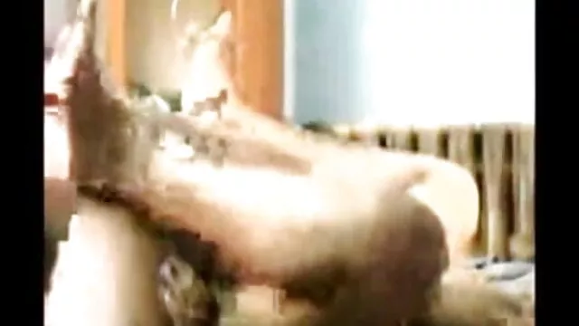 লাল বেস্ট সেক্সি ভিডিও চুলের, দুর্দশা,
