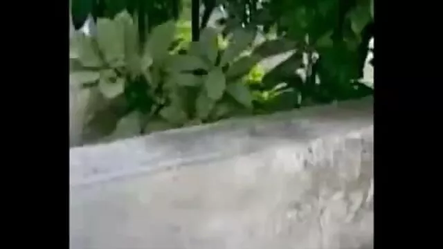মেয়েদের হস্তমৈথুন, মেয়ে মেয়েদের সেক্সি ছবি সমকামী