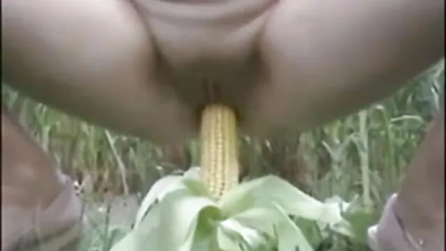 স্বামী ও স্ত্রী সেক্সি বৌদির বিএফ